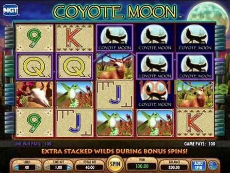 coyote moon online